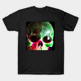 Melon Watermelon Wearing Sunglasses T-Shirt